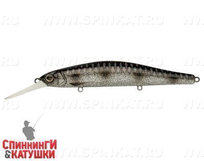 Silver Spotted Bullhead (EG-193BXL-SP#A249F-3D)