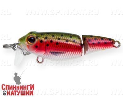 Trout Silver (EG-073J#71)