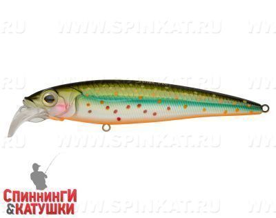 Silver Loach (EG-124C#964T)