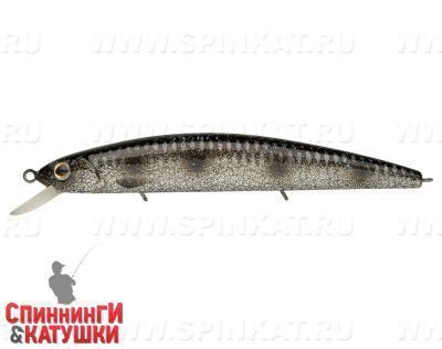 Silver Spotted Bullhead (EG-190C-SP#A249-3D)