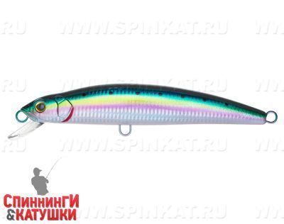 Pacific Sardine (MG-005F#692-713-RP)
