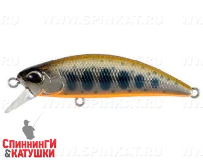 #MCC4018 Brown Back Yamame OB