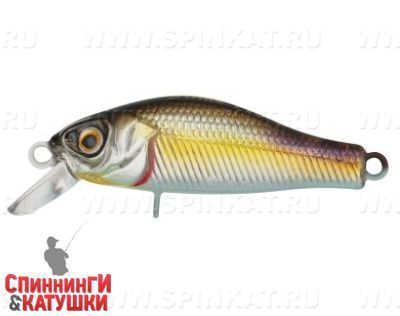 Transparent Pearlescent Fry (EG-125E-SP#A218-GSAL-EP)