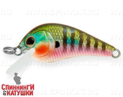 Bluegill (EG-184-SP#630V)
