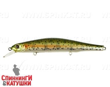 312 PRainbow Trout