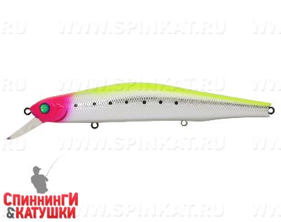 SAGOSHI Edition #L-162
