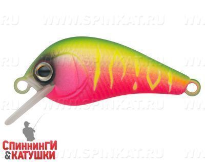 Watermelon Mat Tiger (EG-184-SP#A230S)