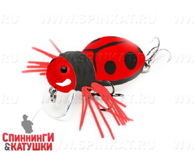 #10 Ladybug