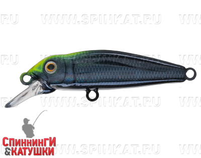 Black Graph UV (EG-074SP#A261)