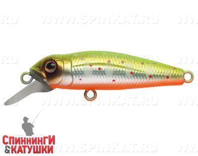 Mat Motley Trout (EG-074SP#A190ES)