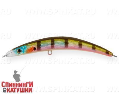 Bluegill (EG-173A#630V)