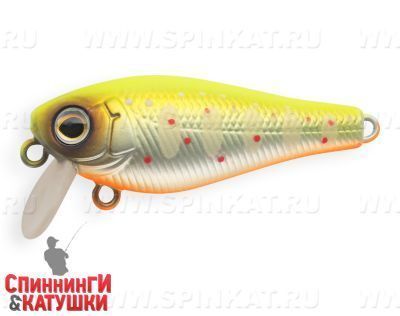 Mat Motley Trout (JS-259B#A190ES)