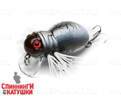 #08 Hornet