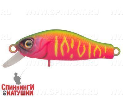 Watermelon Mat Tiger (EG-125E-SP#A230S)