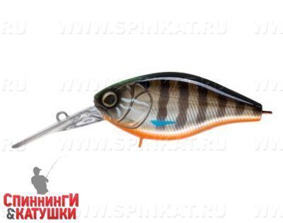Minke Whale (EG-165L#201-264)