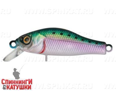 Pacific Sardine (EG-125E-SP#692-713-RP)