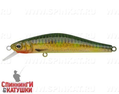 Hot Spotted Bullhead (EG-193B-SP#SB002)