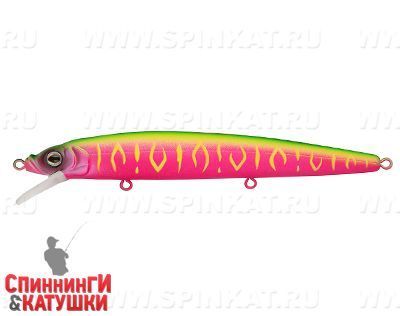 Watermelon Mat Tiger (EG-033F#A230S)