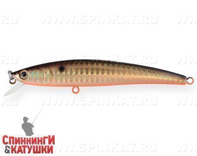 Black Back Smoked OB (JL-092-SP#613-713)