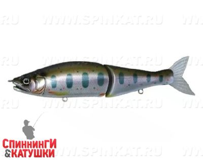 #14 Real Amago