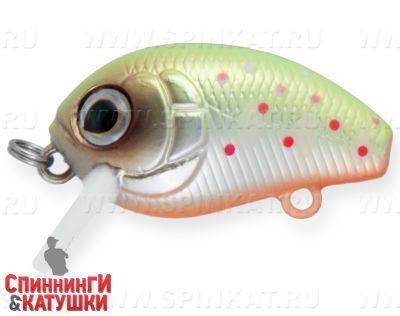 Mat Motley Trout (EG-036F#A190ES)