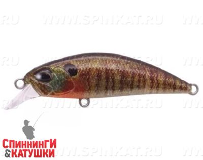 #CCC3357 True Gill