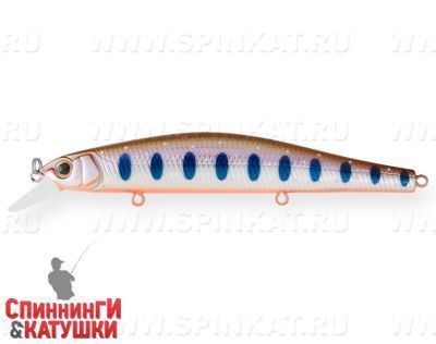 Arctic Char (EG-193A-SP#A142-264)