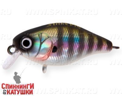 Bluegill (EG-164F#630V)