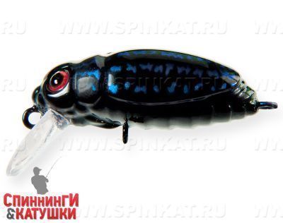 Black Beetle (EG-174F#123F)