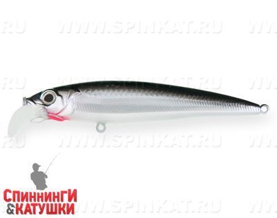 Black Back Silver (EG-124D#A010-EP)