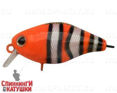 Clownfish (EG-164F#C130)