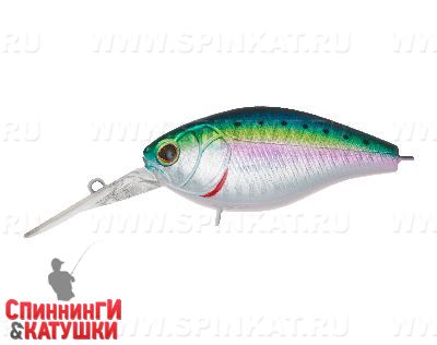 Pacific Sardine (EG-165L#692-713-RP)