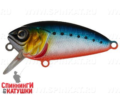 Blue Back Silver OB Fluo (EG-134#A234-SBO)