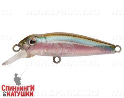 DeadFish (EG-074SP#500G)