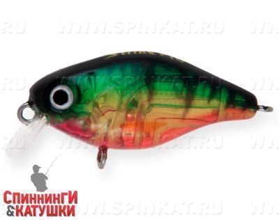 Transparent Perch (EG-165#A102G)