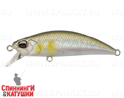 #ANA4010