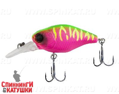 dragon fruit mat tiger