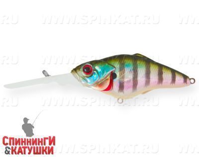 Bluegill (EG-081B#630V)