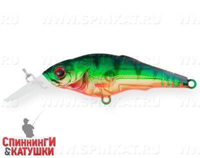 Transparent Perch (EG-081F#A102G)