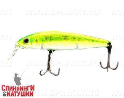 317 E.M/Shiney Lime