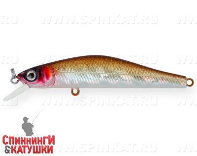 Brown Redhead (EG-193B-SP#864PPV)