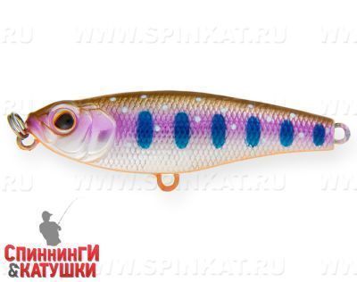 Arctic Char (EG-141#A142-264)