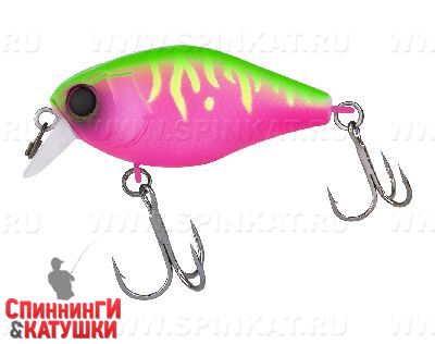 Dragon fruit mat tiger