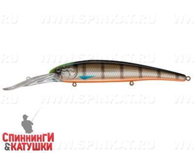 Minke Whale (EG-220L#201-264)