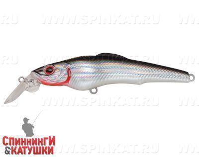 Black Back Silver (EG-076A-SP#A010-EP)