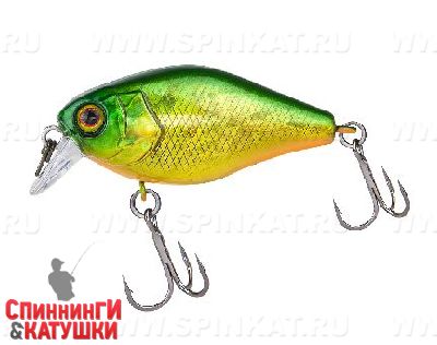 Lime squash