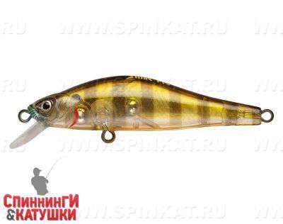 Broun Gill Transparent (EG-125D-SP#A68G)