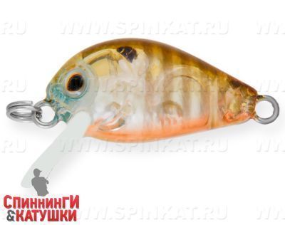 Broun Gill Transparent (EG-182-SP#A68G)