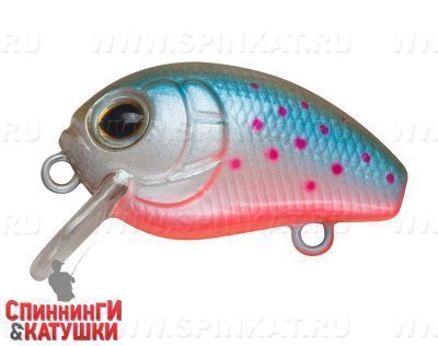 Milk Trout (EG-036F#A224F)