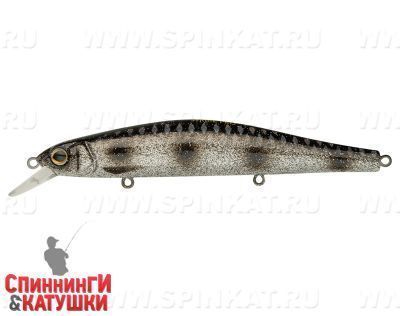Silver Spotted Bullhead (EG-193B-SP#A249F-3D)